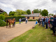 KS300622-69 - Kirtlington Stud Visit